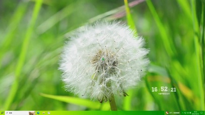 蒲公英主题