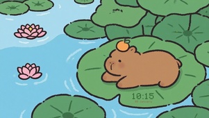 荷叶上的可爱水豚