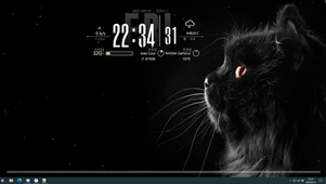 简约   猫咪