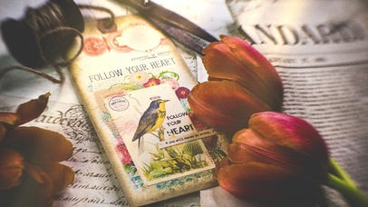 4K古典浪漫玫瑰、报纸与叶莺书