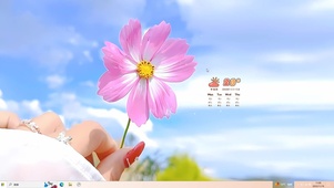 4k清新格桑花