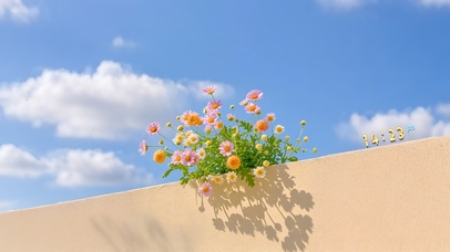 墙头的一簇鲜花