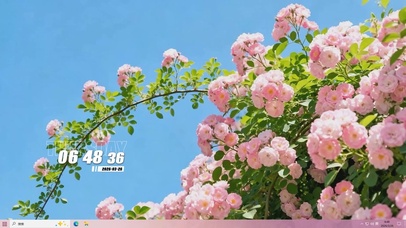 护眼花草树木桌面主题