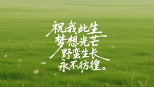 祝我梦想光芒野蛮生长永不彷徨