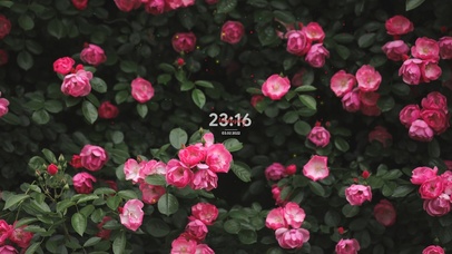 4k 治愈唯美花丛