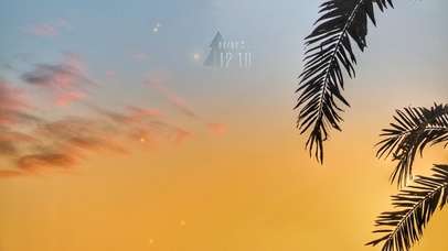 落日下的椰树和彩霞