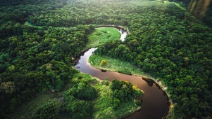 丛林河流风景