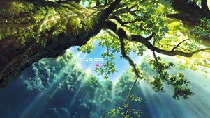唯美清新夏季绿茵