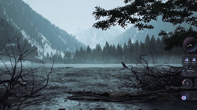 4K高清带鱼屏·寂静森林