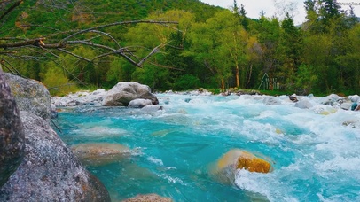 丛林奔腾的泉水