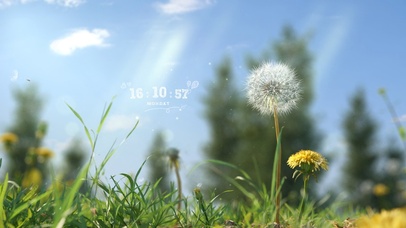 唯美治愈蓝天绿草蒲公英