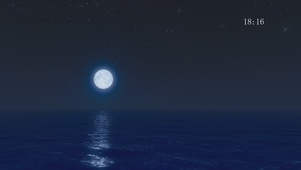 唯美的夜晚月光海边