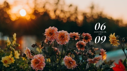 4k高清简约小清新系列