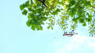 4k高级清新桌面