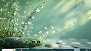 清新 雏菊