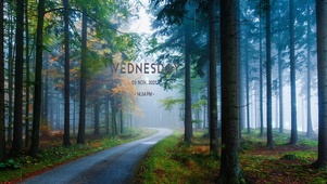 雾蒙蒙的早晨林道