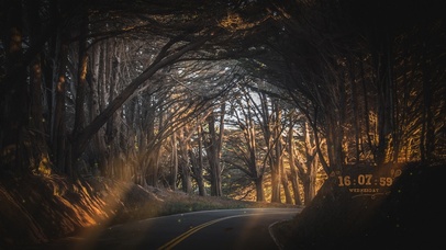 唯美阳光树林公路