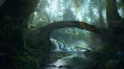 治愈护眼阳光森林小溪