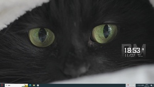 被窝黑猫主题