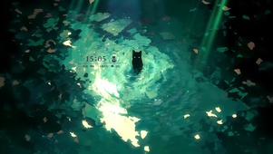 光影黑猫
