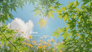 护眼树影晃动