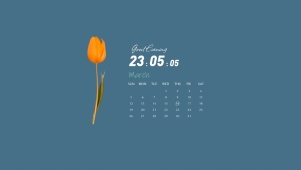 4k极简郁金香系列