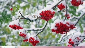 雪中树主题