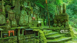 日系森林神庙