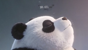 冥想 可爱 熊猫