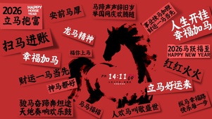 马年开运 •  心愿笺红墙