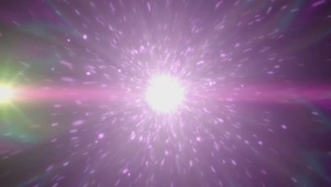 紫幻花