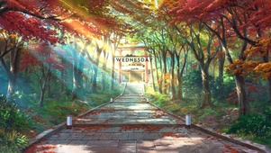 阳光枫林小路