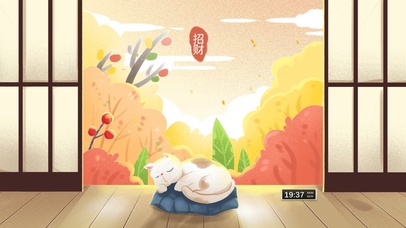 4K 招运招财的猫咪