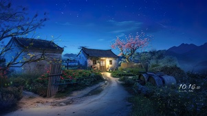 农村夜小路