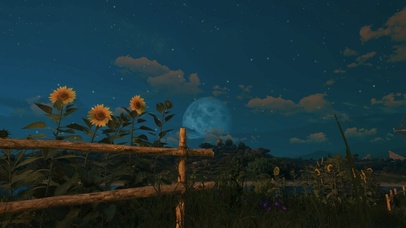 漫天星光向日葵