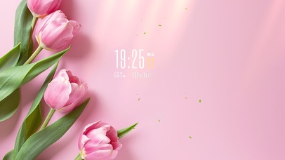 简约系郁金香壁纸