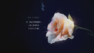 一朵花的浪漫