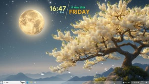 梦幻夜晚
