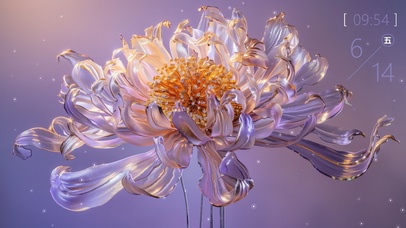 盛放菊花