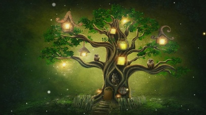 萤火虫森林之光