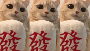 恭喜发财