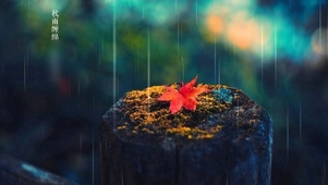 秋雨缠绵