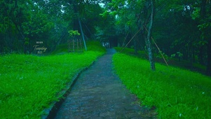 雨中小路