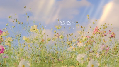 4k唯美治愈夏日鲜花盛开