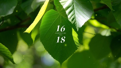 4k高清绿色护眼系列