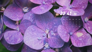 4k唯美简约桌面