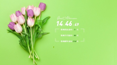 简约清新郁金香壁纸