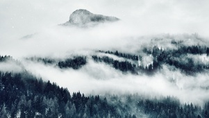山中雾