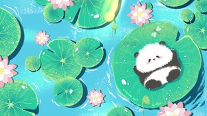 夏日荷花熊猫猫