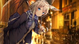 雨夜